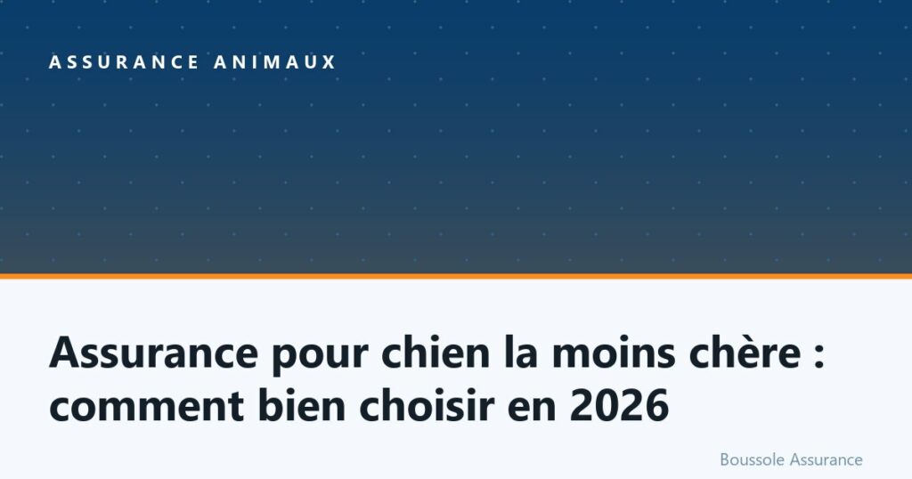 Assurance pour chien la moins chère : comment bien choisir en 2026