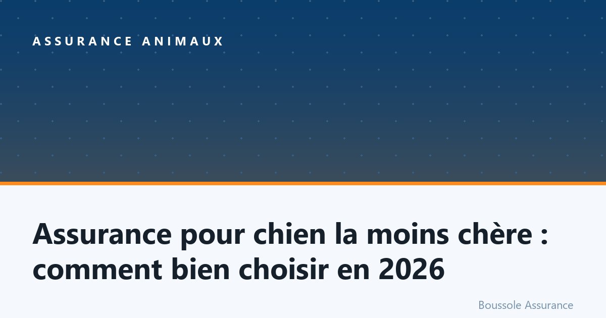 Assurance pour chien la moins chère